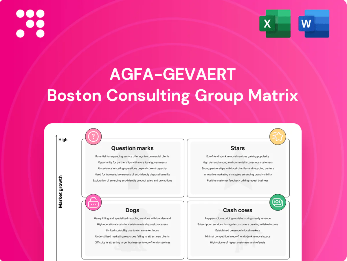 Agfa-Gevaert Boston Consulting Group Matrix