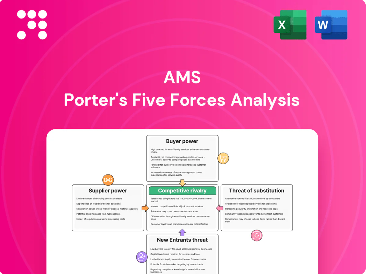 ams Porter's Five Forces Analysis