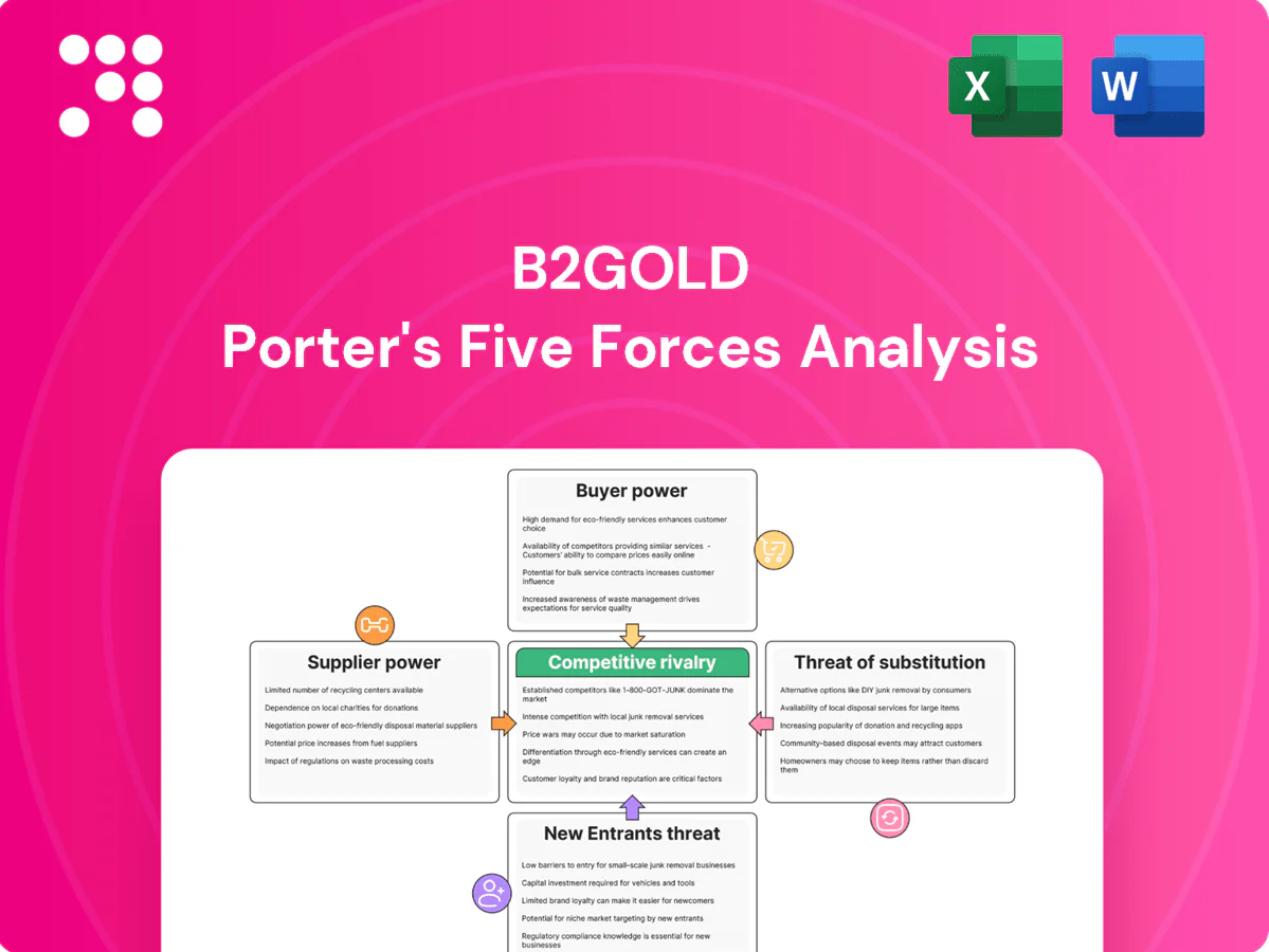 B2Gold Porter's Five Forces Analysis