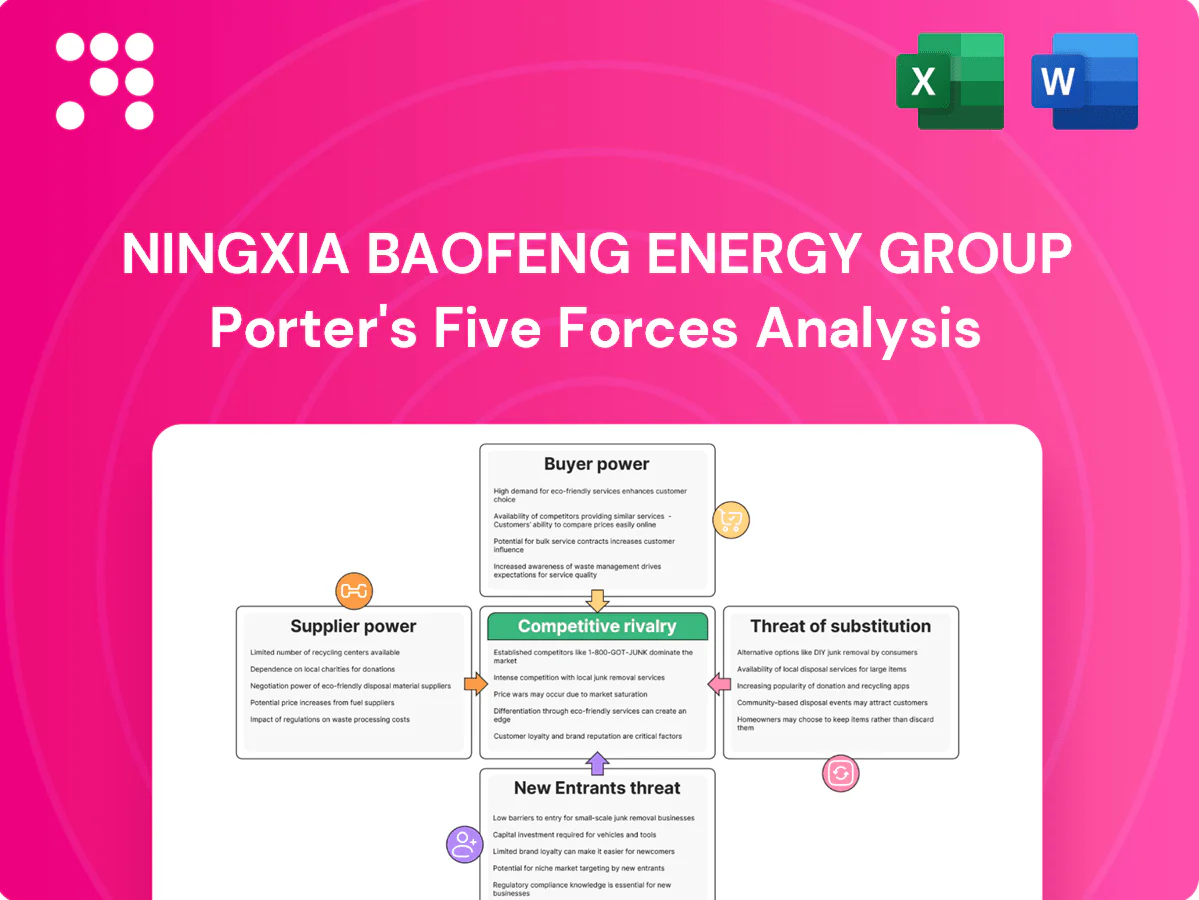 Ningxia Baofeng Energy Group Porter's Five Forces Analysis