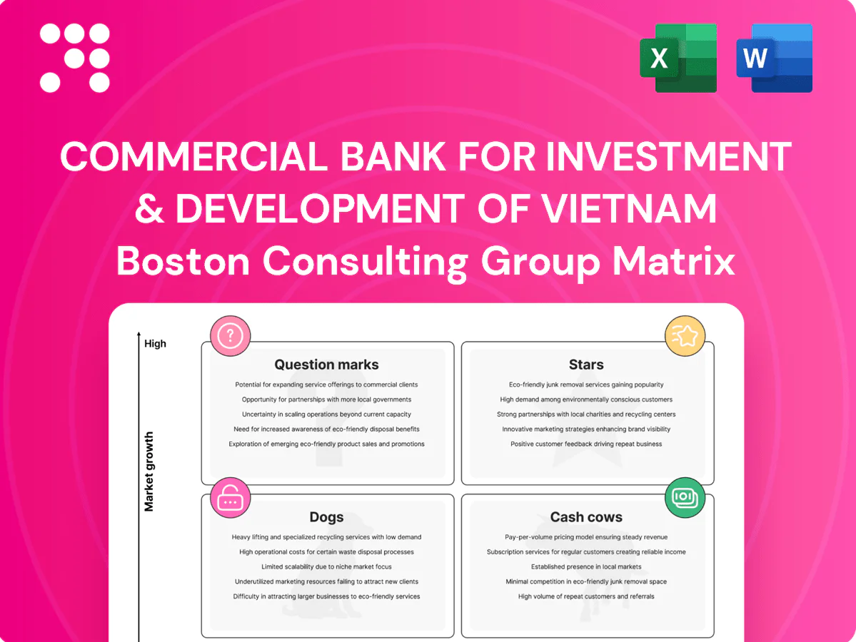 Commercial Bank For Investment & Development Of Vietnam Boston Consulting Group Matrix