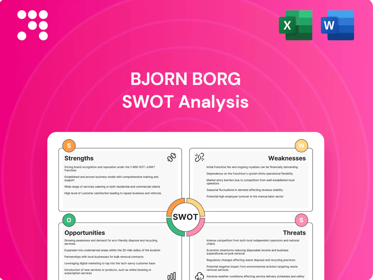 Bjorn Borg SWOT Analysis
