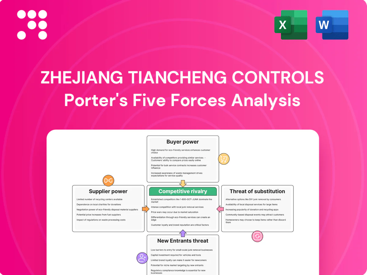 Zhejiang Tiancheng Controls Porter's Five Forces Analysis