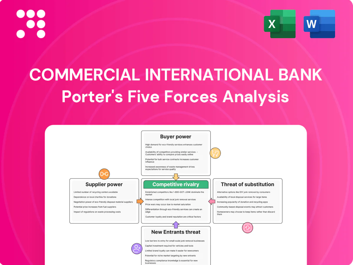 Commercial International Bank Porter's Five Forces Analysis