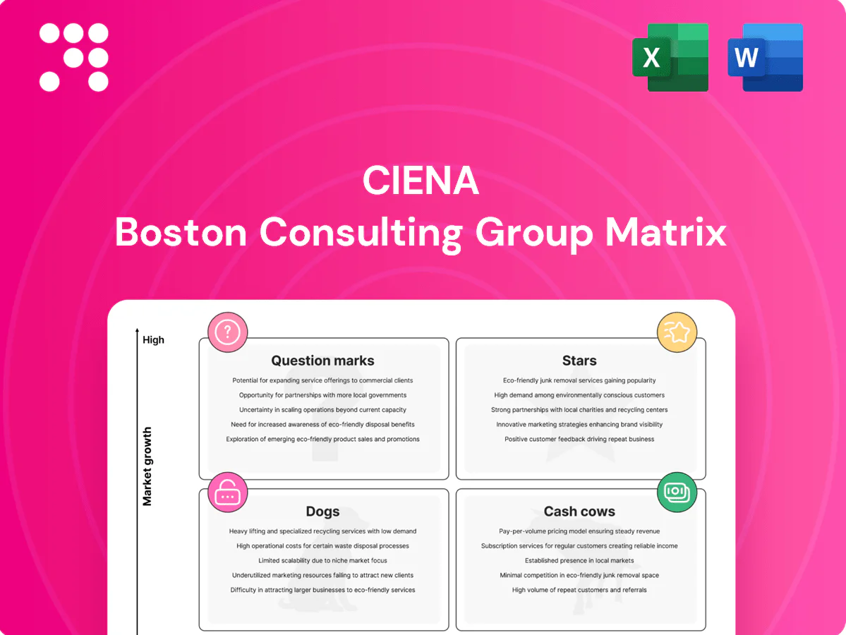 Ciena Boston Consulting Group Matrix