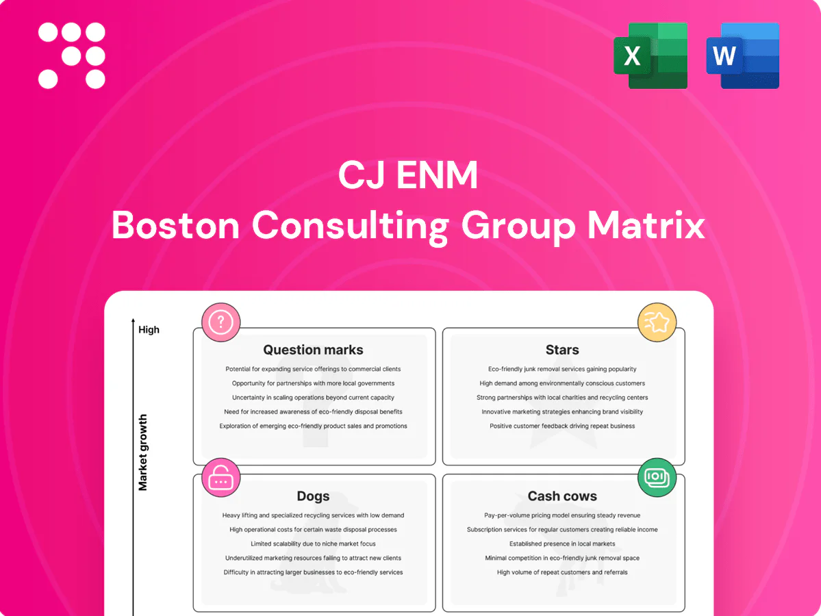CJ ENM Boston Consulting Group Matrix
