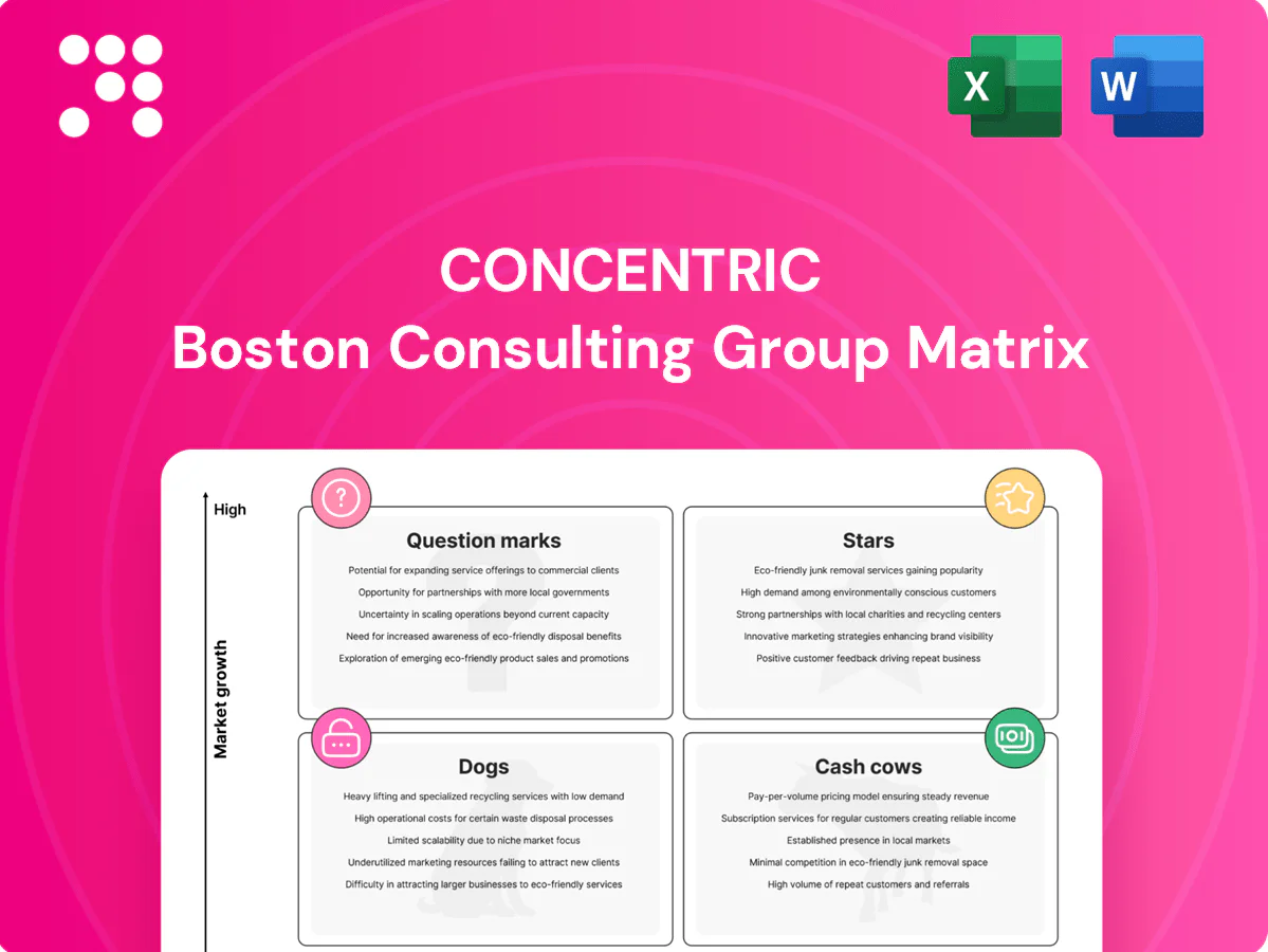 Concentric Boston Consulting Group Matrix