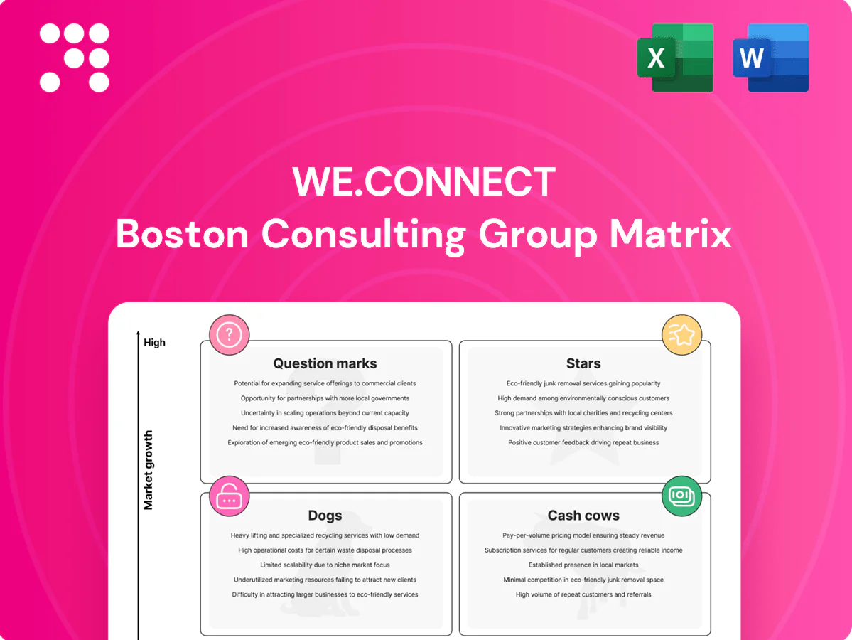 We.Connect Boston Consulting Group Matrix