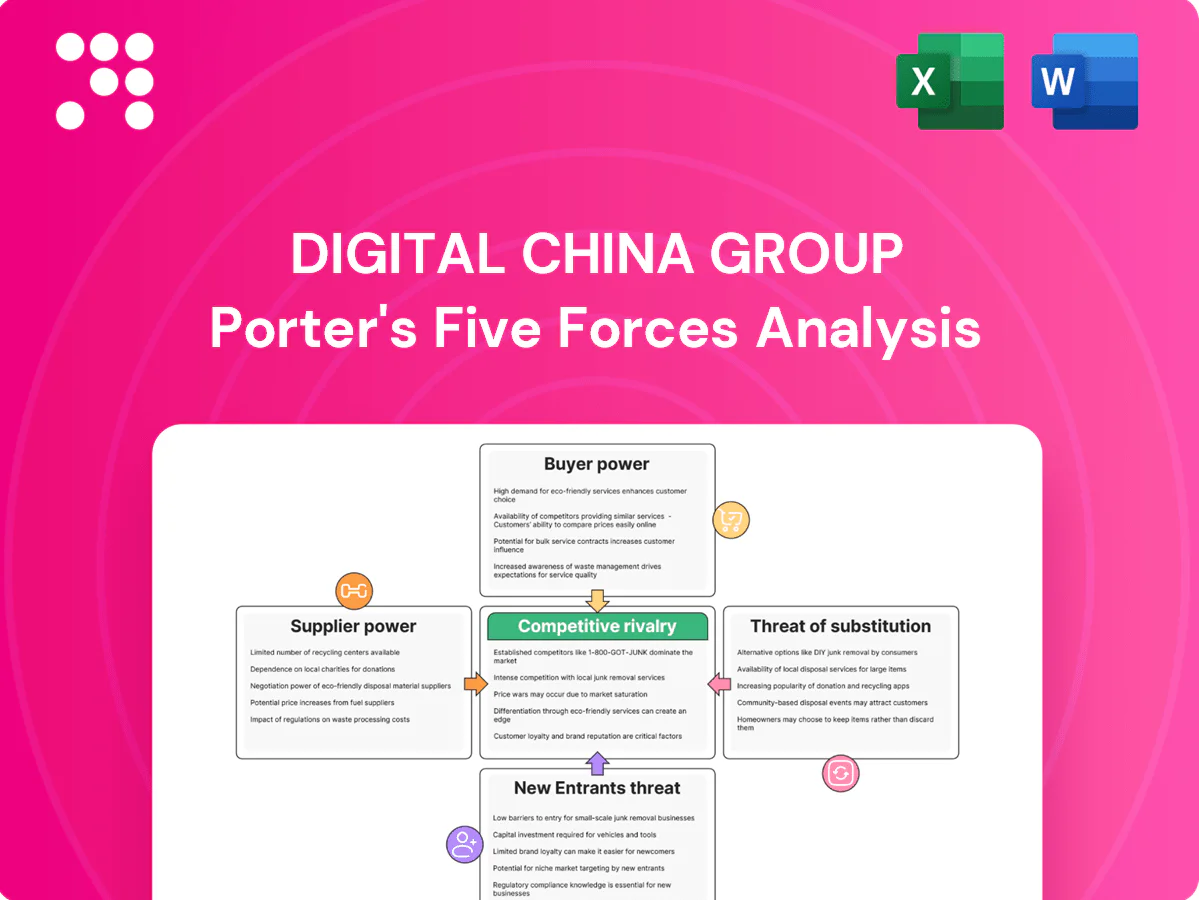 Digital China Group Porter's Five Forces Analysis