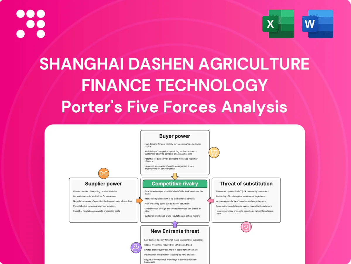 Shanghai Dashen Agriculture Finance Technology Porter's Five Forces Analysis