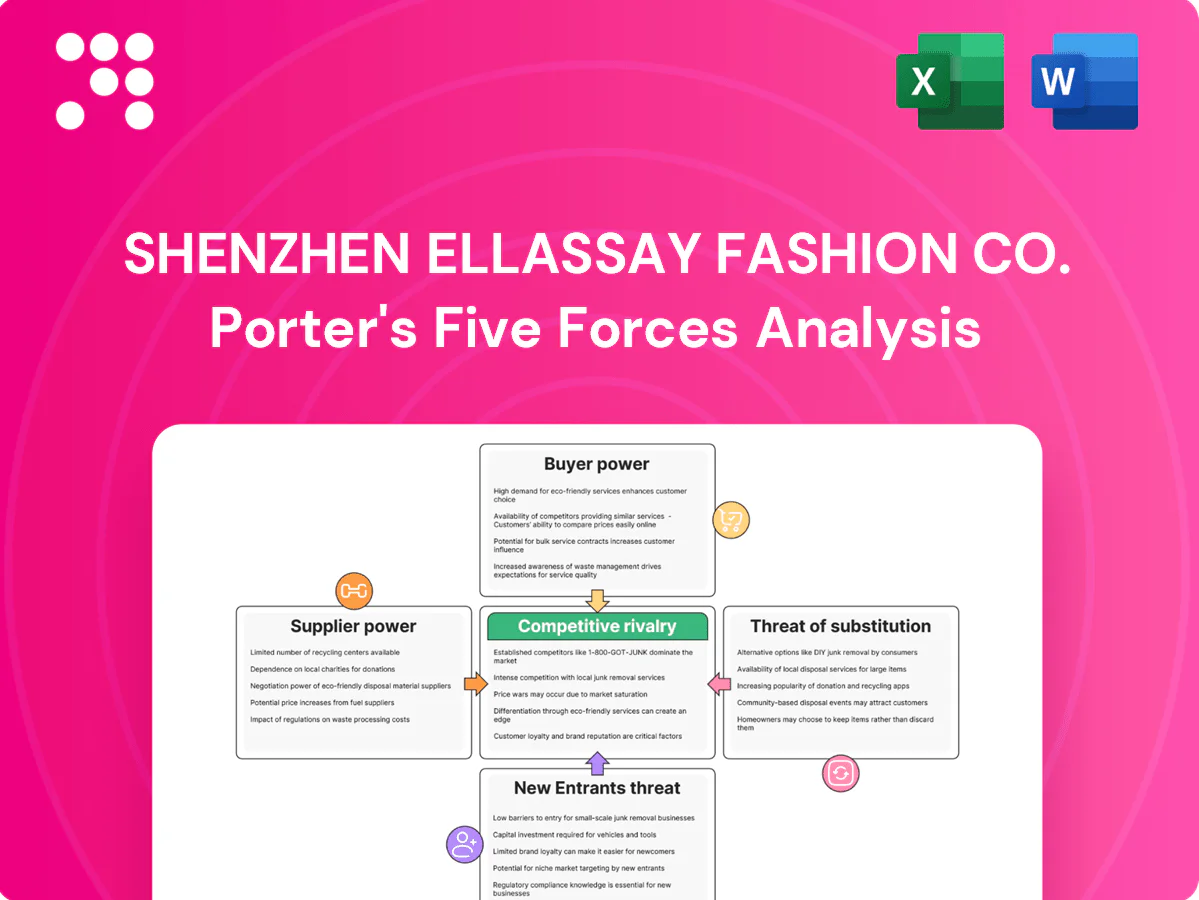 Shenzhen Ellassay Fashion Co. Porter's Five Forces Analysis