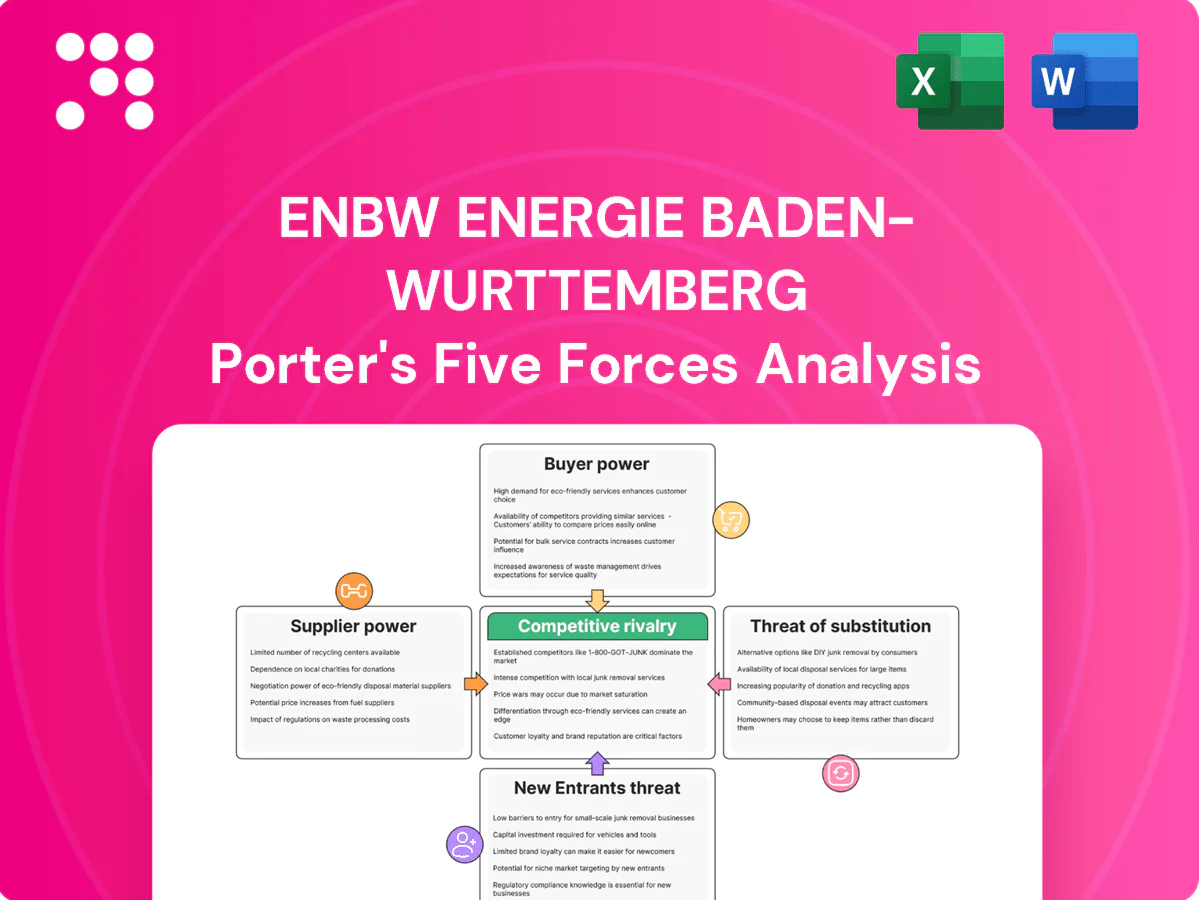 EnBW Energie Baden-Wurttemberg Porter's Five Forces Analysis