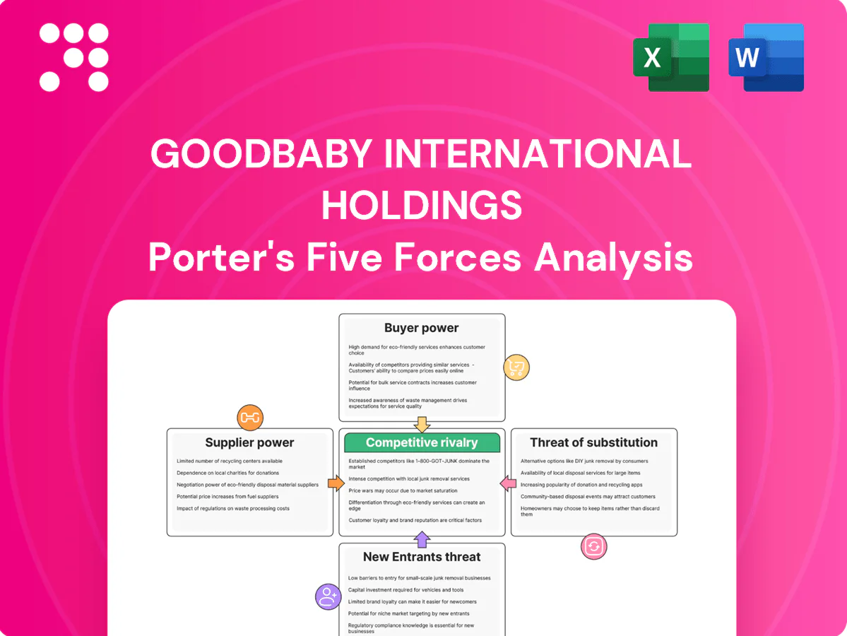 Goodbaby International Holdings Porter's Five Forces Analysis