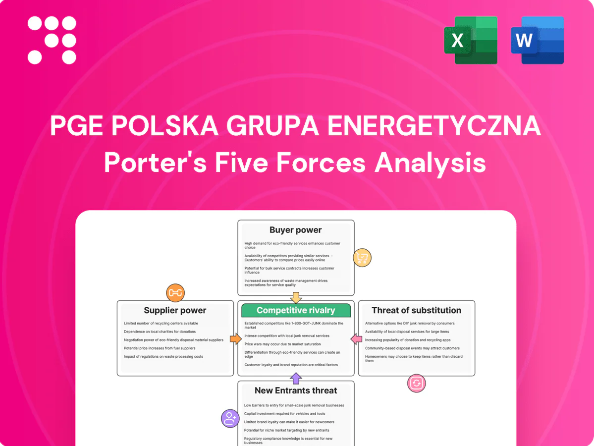 PGE Polska Grupa Energetyczna Porter's Five Forces Analysis