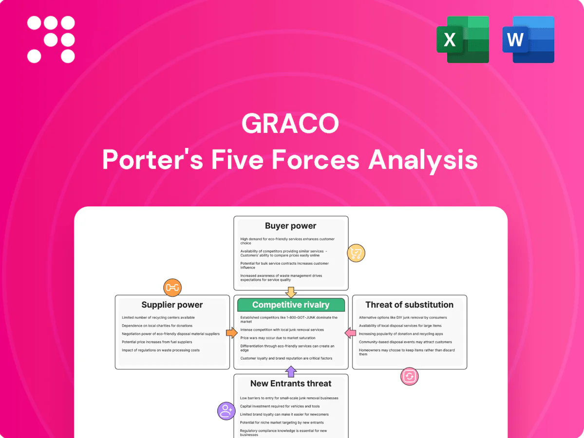 Graco Porter's Five Forces Analysis