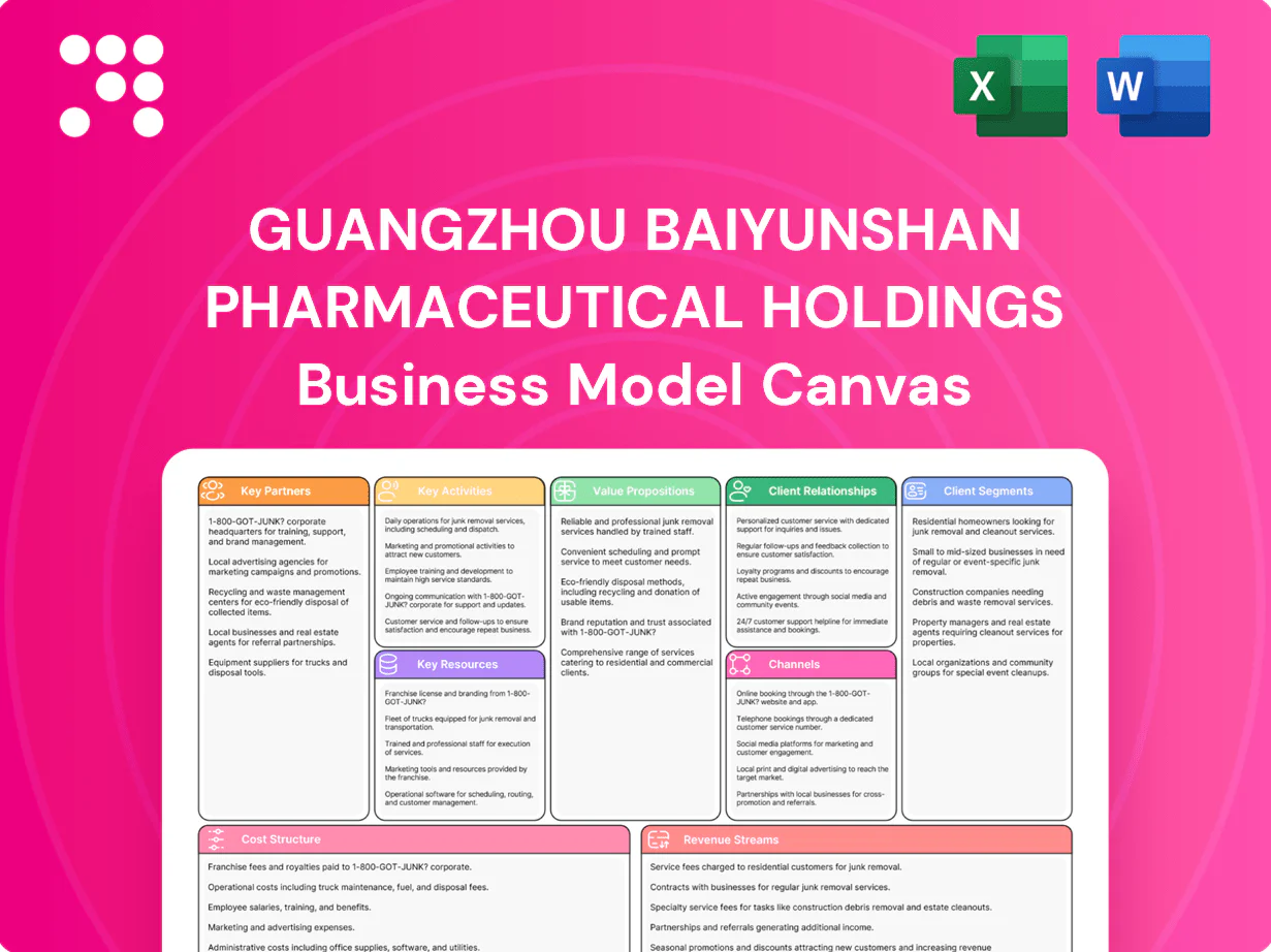 Guangzhou Baiyunshan Pharmaceutical Holdings Business Model Canvas