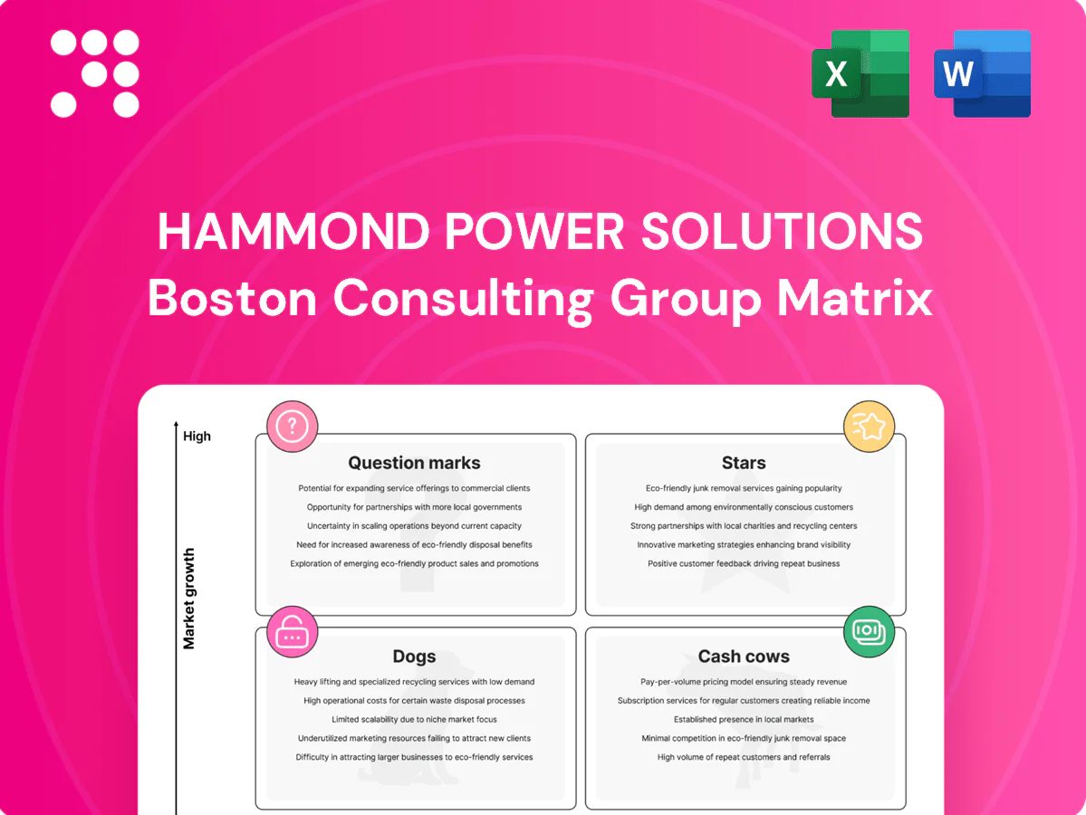 Hammond Power Solutions Boston Consulting Group Matrix