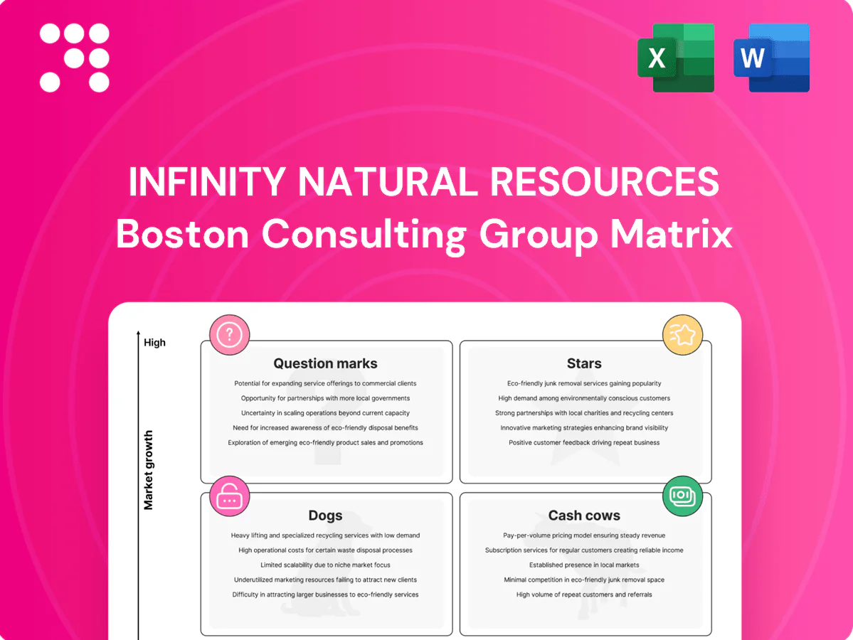 Infinity Natural Resources Boston Consulting Group Matrix