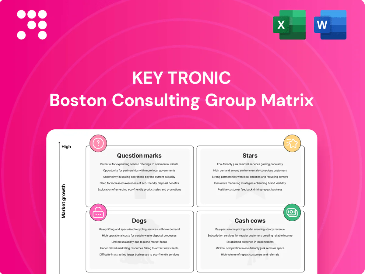 Key Tronic Boston Consulting Group Matrix
