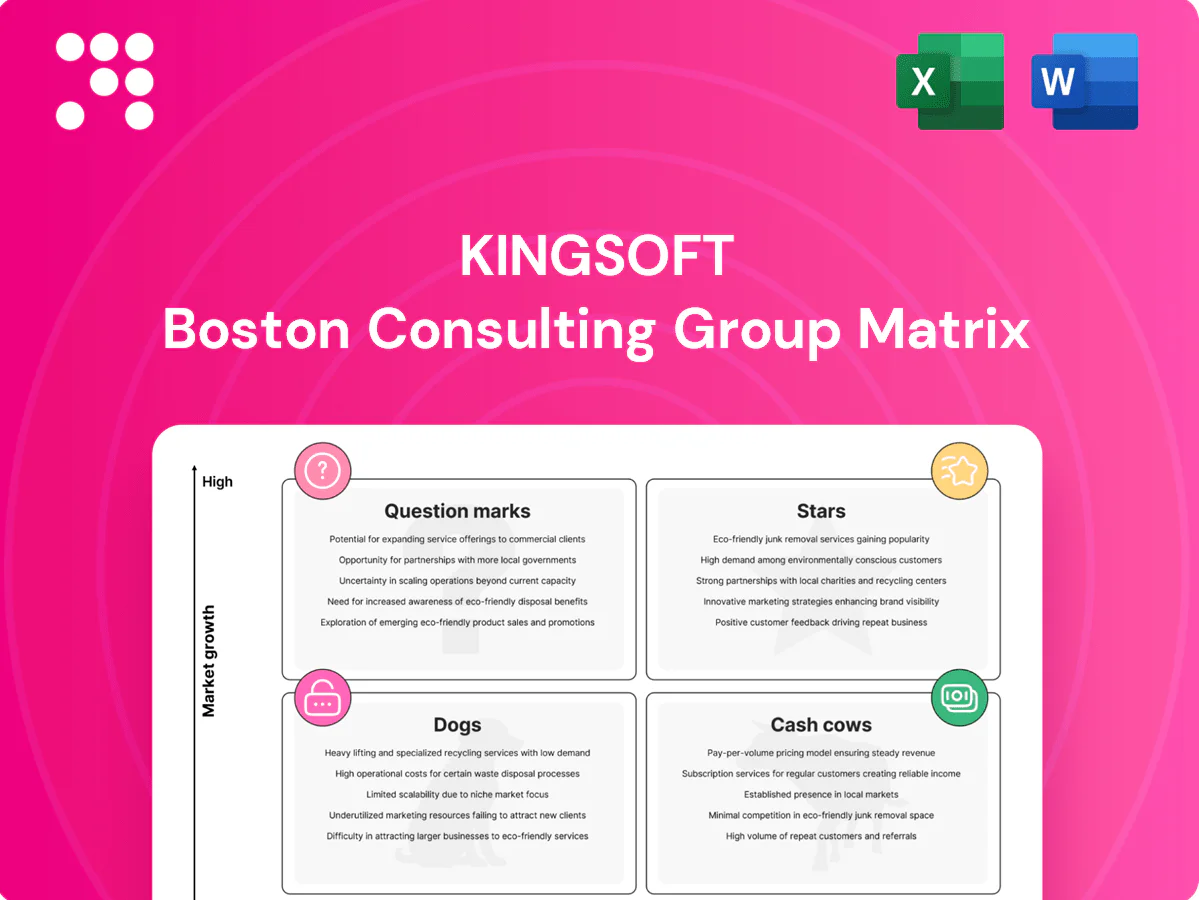Kingsoft Boston Consulting Group Matrix