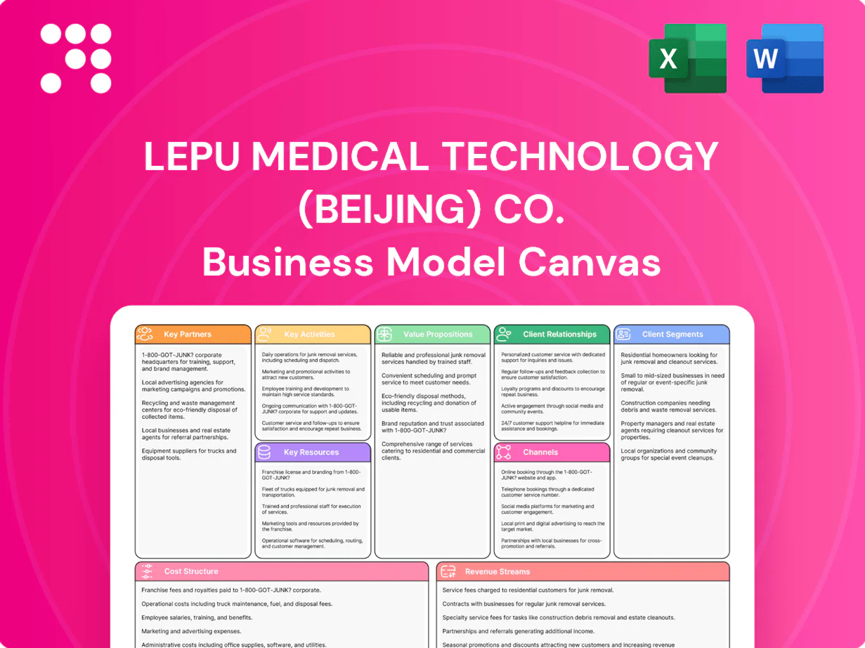 Lepu Medical Technology (Beijing) Co. Business Model Canvas