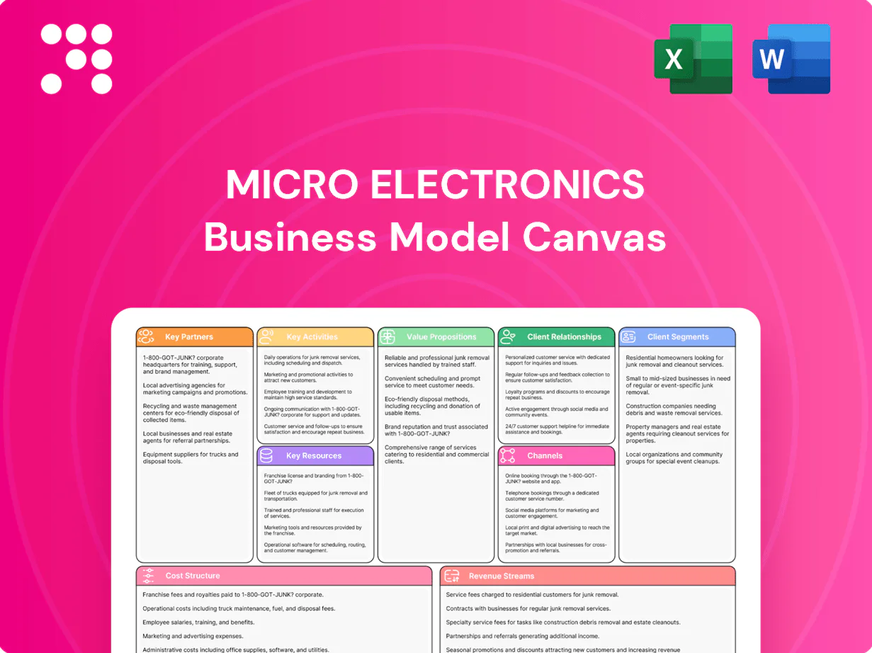 Micro Electronics Business Model Canvas