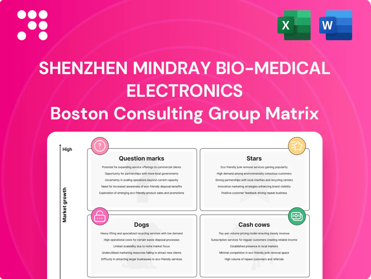 Shenzhen Mindray Bio-Medical Electronics Boston Consulting Group Matrix