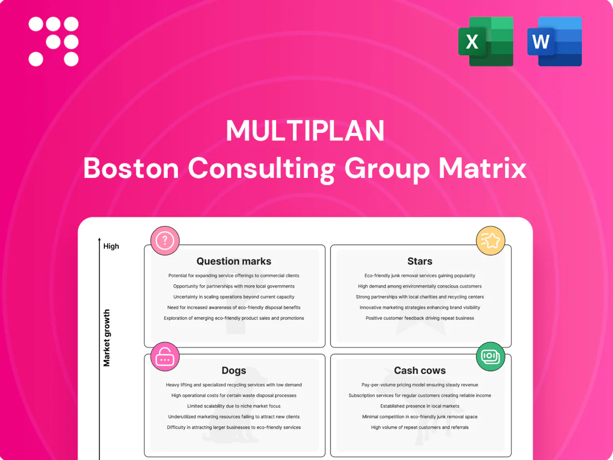 MultiPlan Boston Consulting Group Matrix