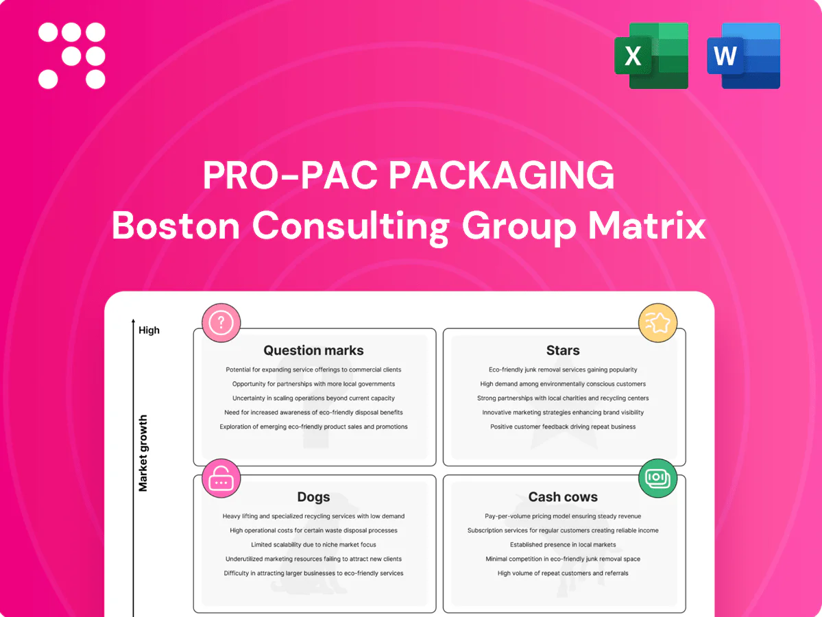 Pro-Pac Packaging Boston Consulting Group Matrix