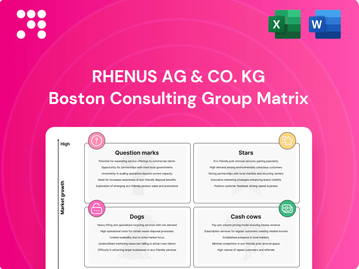 Rhenus AG & Co. KG Boston Consulting Group Matrix