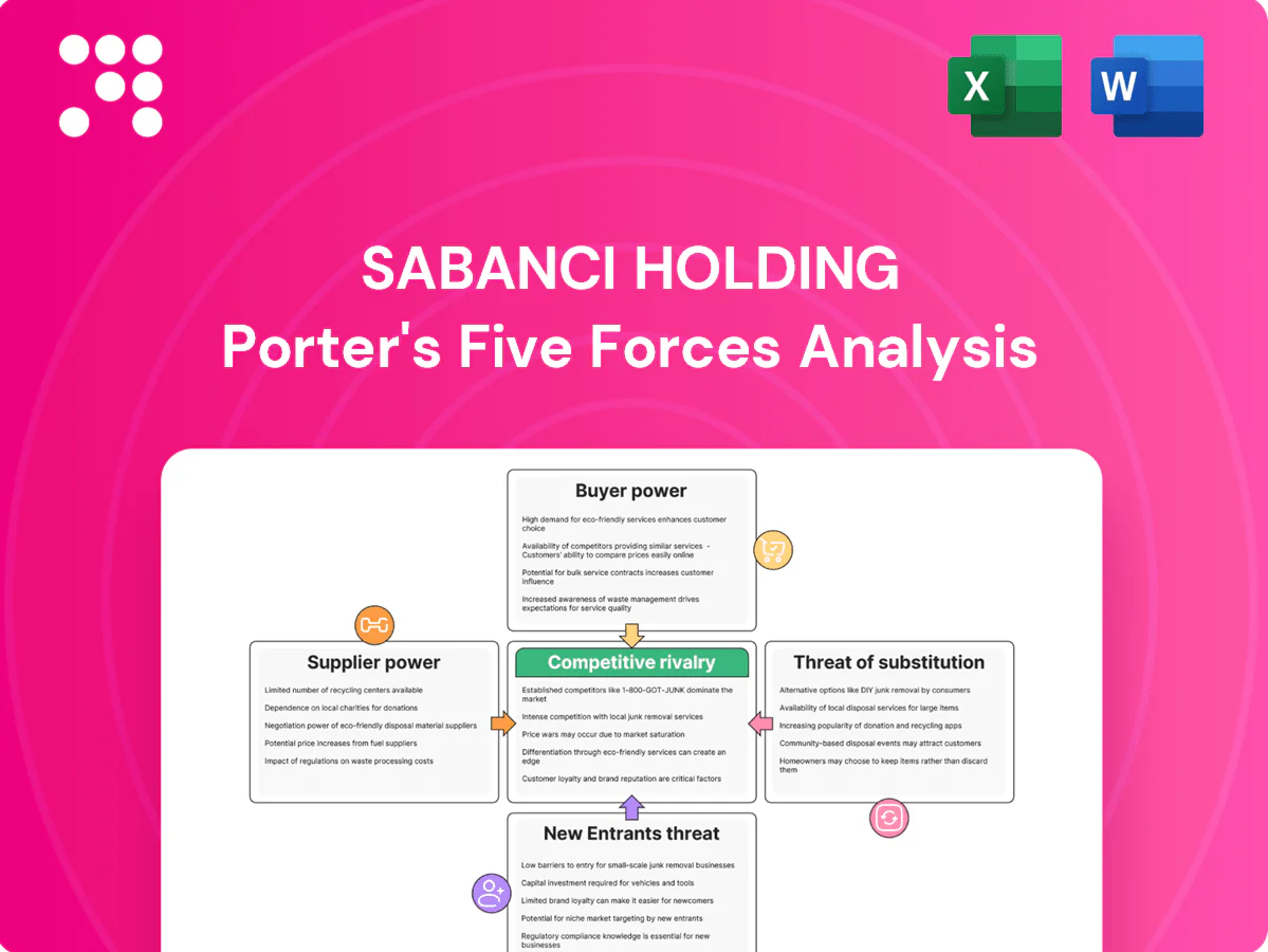 Sabanci Holding Porter's Five Forces Analysis