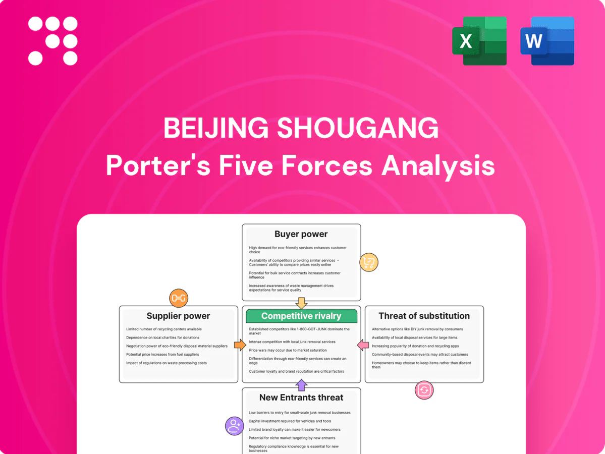 Beijing Shougang Porter's Five Forces Analysis