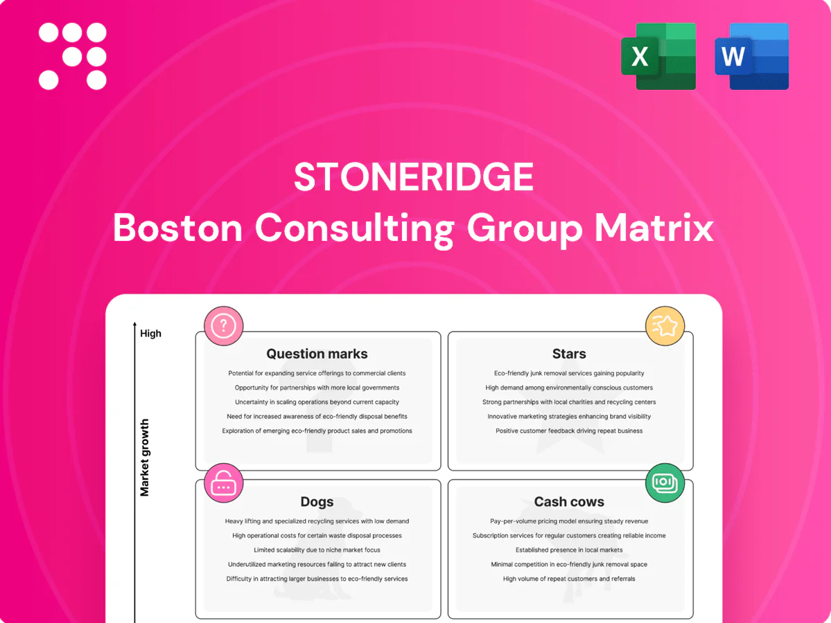Stoneridge Boston Consulting Group Matrix