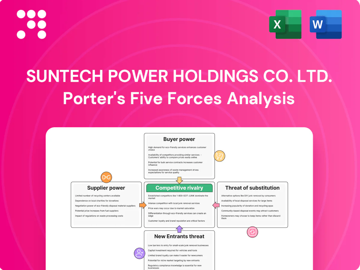Suntech Power Holdings Co. Ltd. Porter's Five Forces Analysis