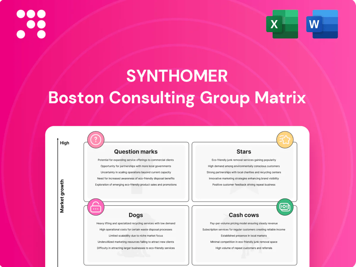 Synthomer Boston Consulting Group Matrix