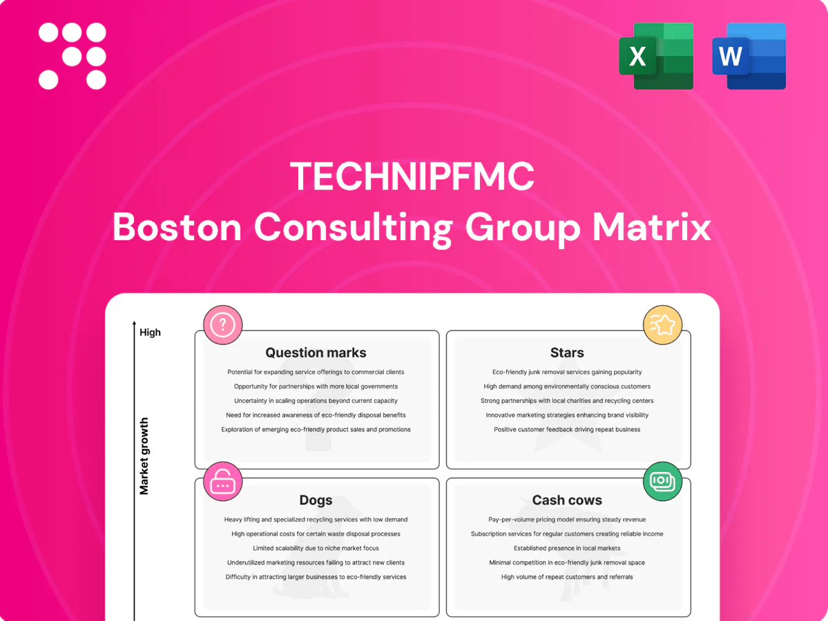 TechnipFMC Boston Consulting Group Matrix