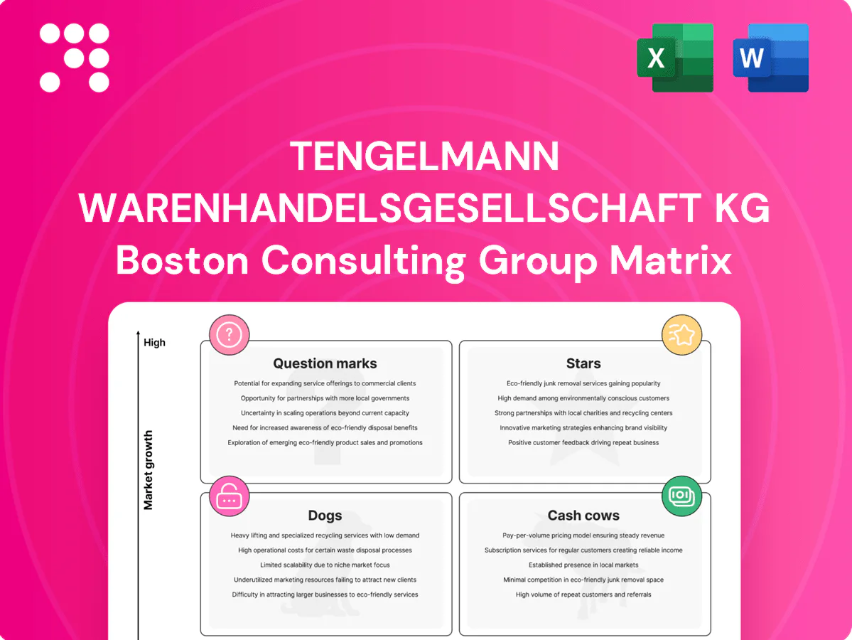 Tengelmann Warenhandelsgesellschaft KG Boston Consulting Group Matrix