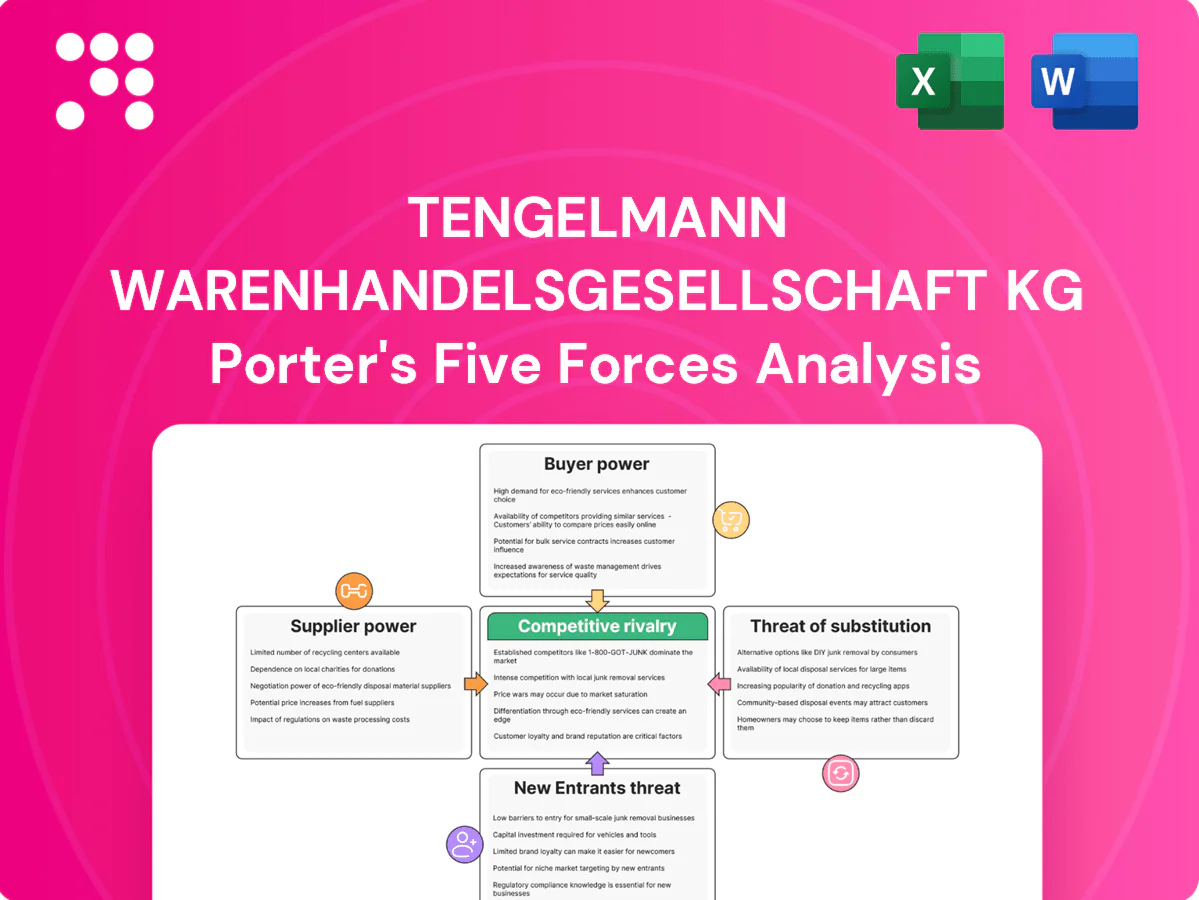 Tengelmann Warenhandelsgesellschaft KG Porter's Five Forces Analysis