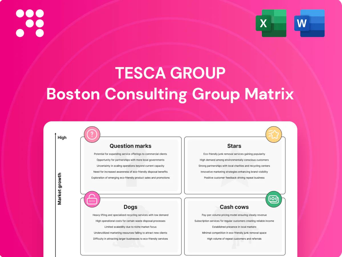 Tesca Group Boston Consulting Group Matrix