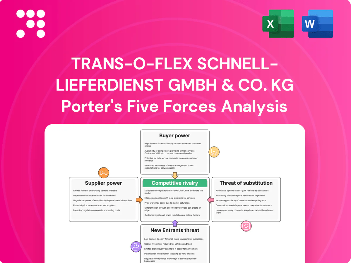 trans-o-flex Schnell-Lieferdienst GmbH & Co. KG Porter's Five Forces Analysis
