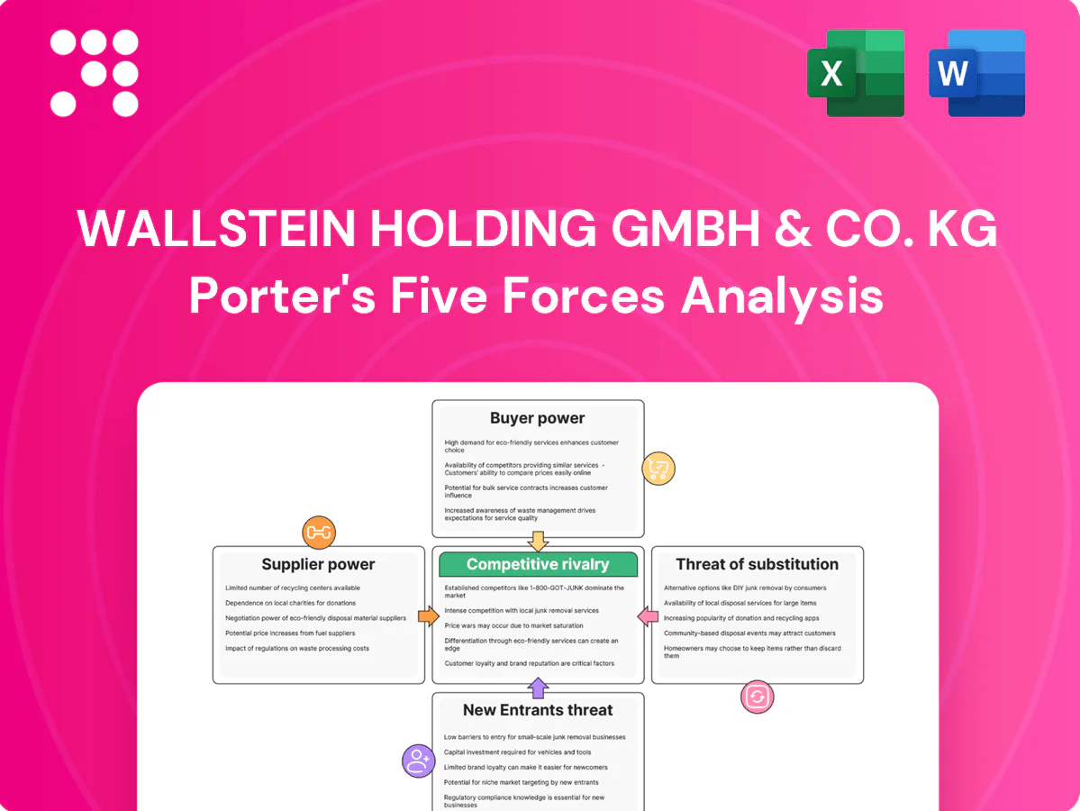 Wallstein Holding GmbH & Co. KG Porter's Five Forces Analysis
