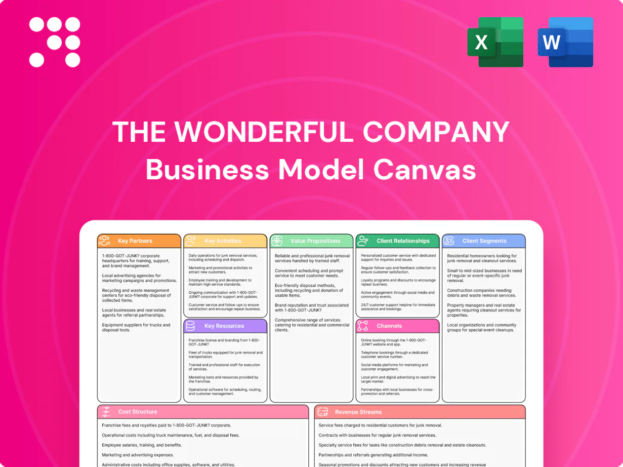 The Wonderful Company Business Model Canvas