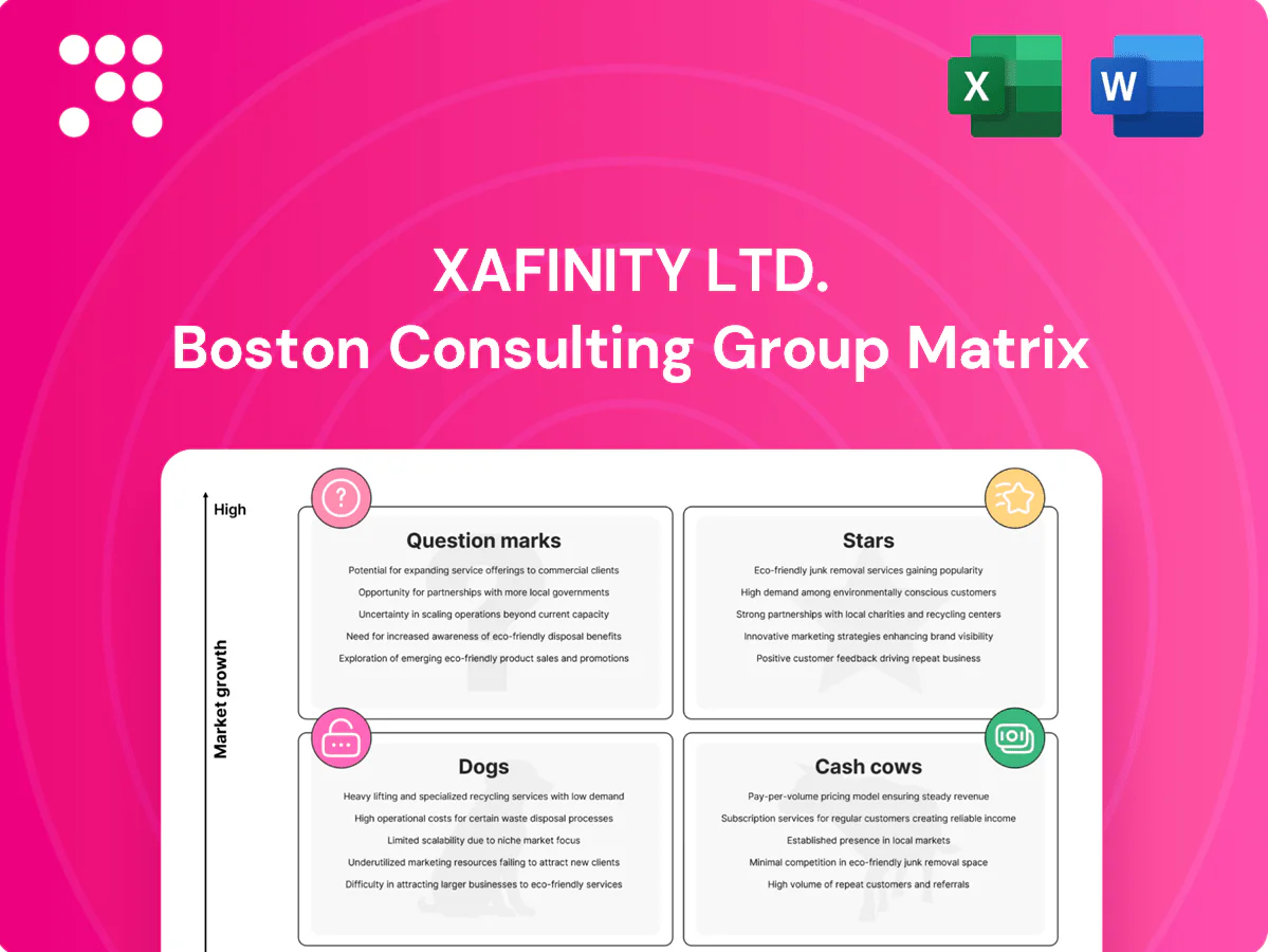 Xafinity Ltd. Boston Consulting Group Matrix