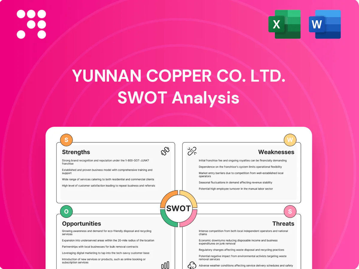 Yunnan Copper Co. Ltd. SWOT Analysis